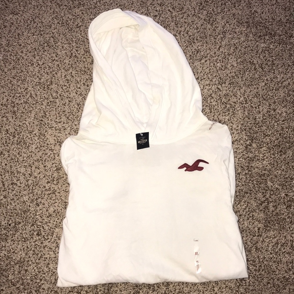 Men’s Hollister Long Sleeve Hoodie NWT